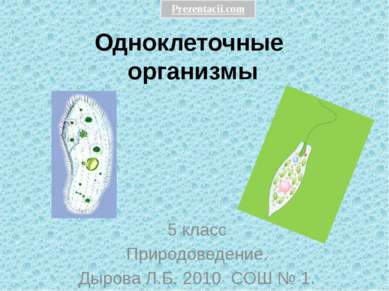 Одноклеточные организмы 5 класс Природоведение. Дырова Л.Б. 2010 СОШ № 1. 