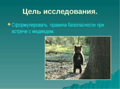 Цель исследования. Сформулировать правила безопасности при встрече с медведем.