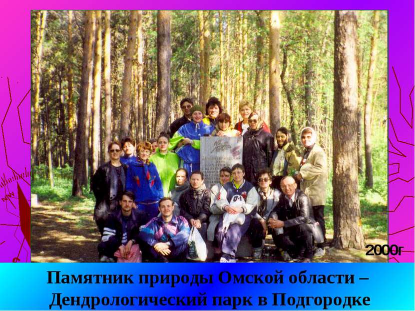 Памятник природы Омской области – Дендрологический парк в Подгородке 2000г