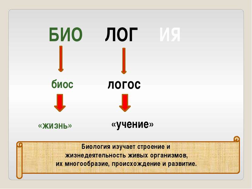 БИО ЛОГ ИЯ биос «жизнь» логос «учение» Биология изучает строение и жизнедеяте...