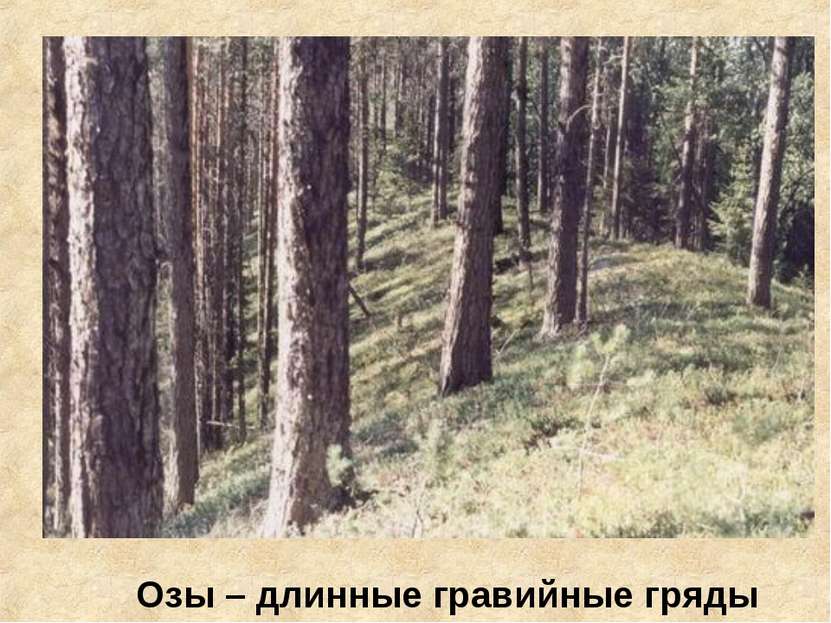 Озы – длинные гравийные гряды