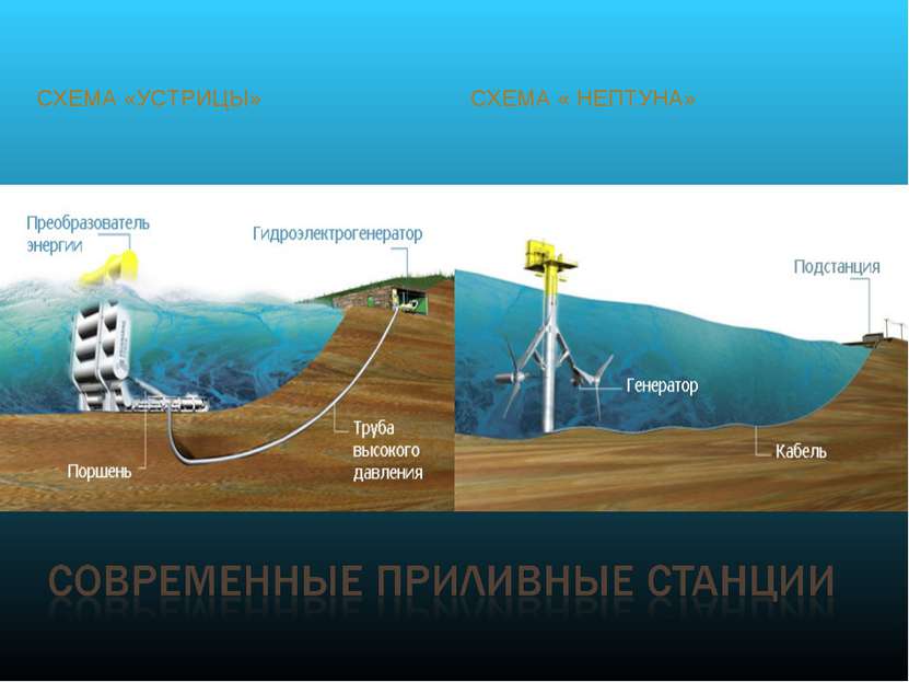 СХЕМА «УСТРИЦЫ» СХЕМА « НЕПТУНА»