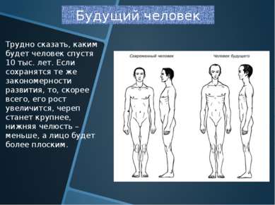 Будущий человек Трудно сказать, каким будет человек спустя 10 тыс. лет. Если ...