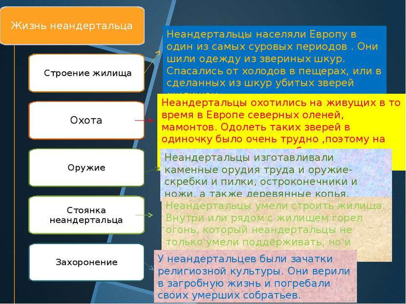 Неандертальцы населяли Европу в один из самых суровых периодов . Они шили оде...