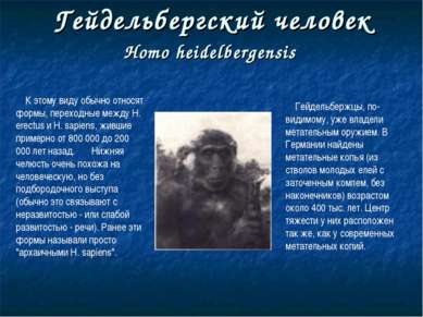Гейдельбергский человек Homo heidelbergensis К этому виду обычно относят форм...
