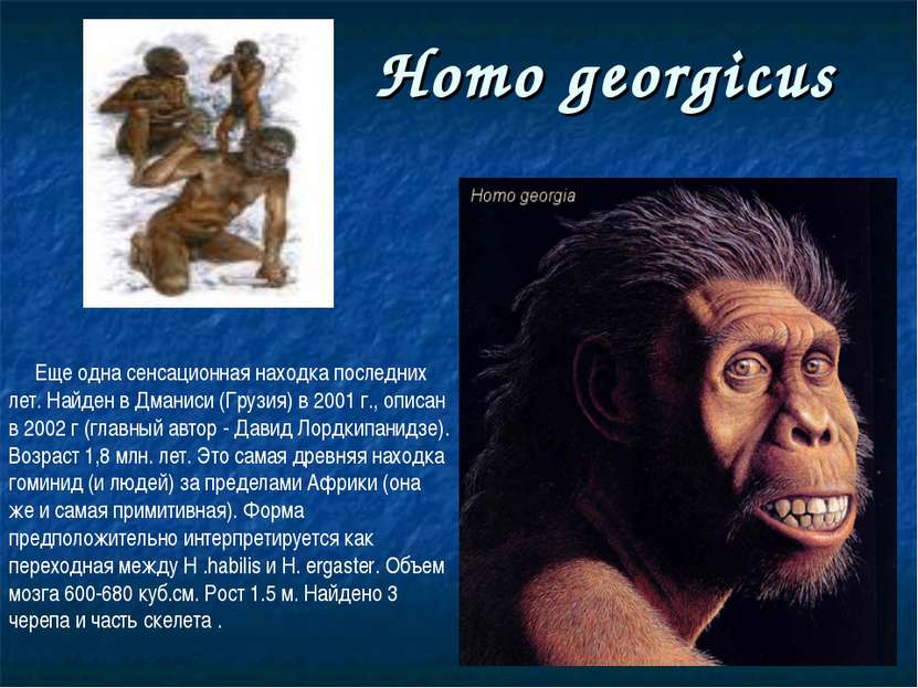 Homo georgicus Еще одна сенсационная находка последних лет. Найден в Дманиси ...