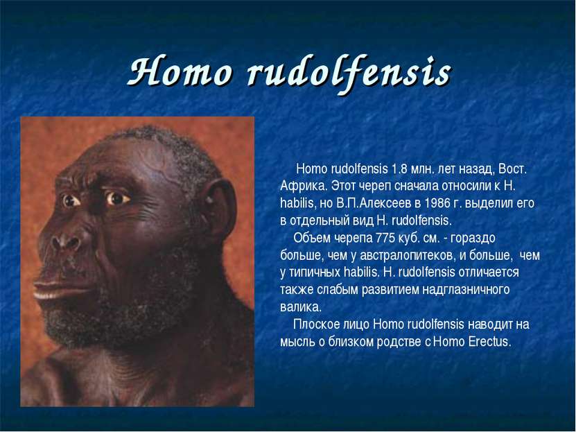 Homo rudolfensis Homo rudolfensis 1.8 млн. лет назад, Вост. Африка. Этот чере...