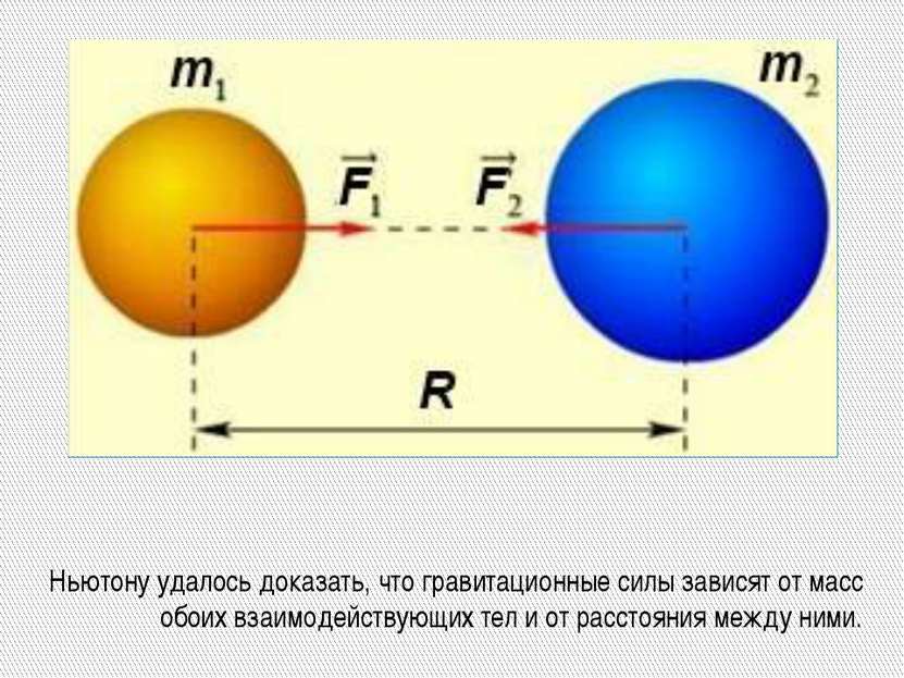 Ньютону удалось доказать, что гравитационные силы зависят от масс обоих взаим...