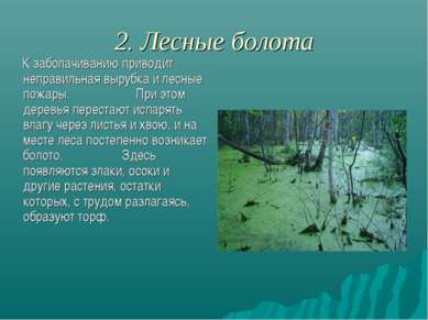 2. Лесные болота К заболачиванию приводит неправильная вырубка и лесные пожар...