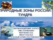 Природные зоны России: Тундра (4 класс)