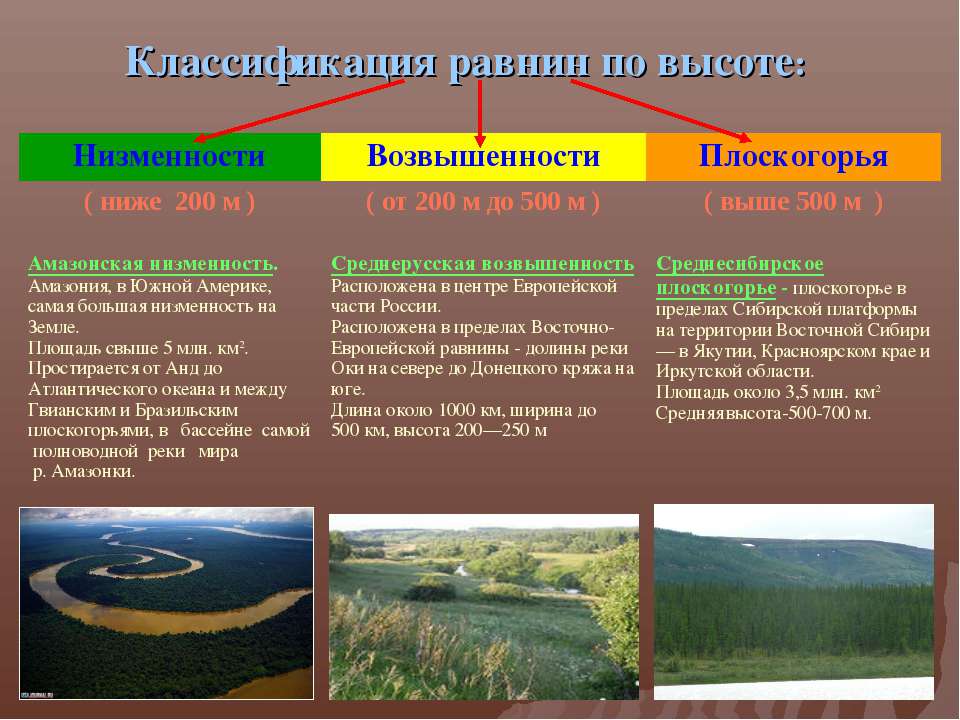 Что общего в рельефе великих равнин россии