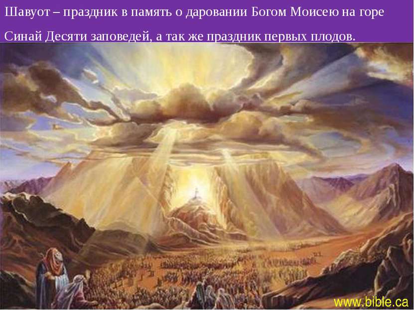 Шавуот – праздник в память о даровании Богом Моисею на горе Синай Десяти запо...