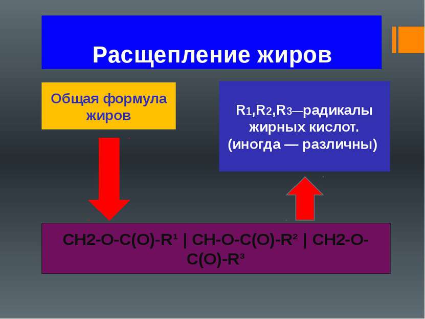 Расщепление жиров Общая формула жиров CH2-O-C(O)-R¹ | CH-О-C(O)-R² | CH2-O-C(...