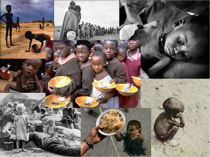 Экономика голод. Демографическая и продовольственная проблемы. Продовольственная проблема. Глобальная проблема голода.