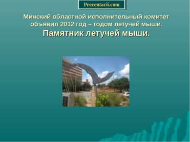 Минский областной исполнительный комитет объявил 2012 год – годом летучей мыш...