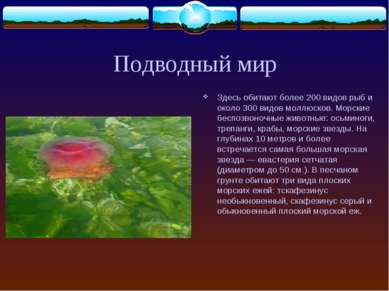 Подводный мир Здесь обитают более 200 видов рыб и около 300 видов моллюсков. ...