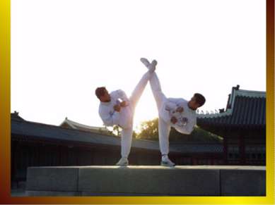 A taekwondo student typically wears a uniform (dobok), often white but someti...