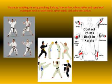Karate is a striking art using punching, kicking, knee strikes, elbow strikes...