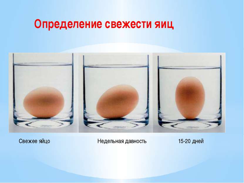 Свежее яйцо Недельная давность 15-20 дней Определение свежести яиц
