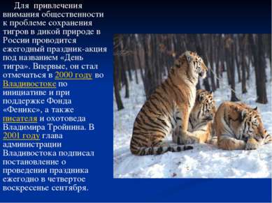 Для привлечения внимания общественности к проблеме сохранения тигров в дикой ...