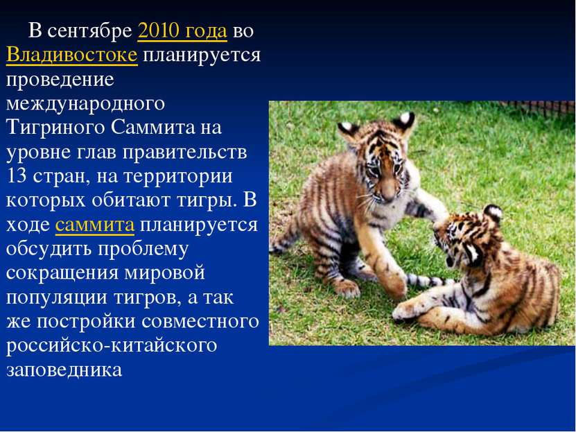 В сентябре 2010 года во Владивостоке планируется проведение международного Ти...