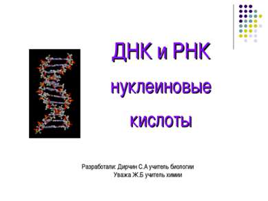 ДНК и РНК нуклеиновые кислоты Разработали: Дирчин С.А учитель биологии Уважа ...