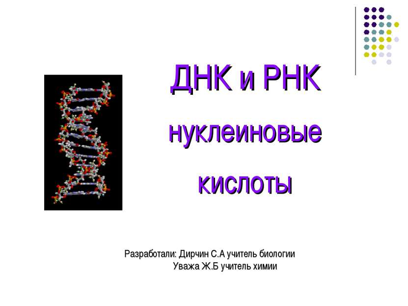 ДНК и РНК нуклеиновые кислоты Разработали: Дирчин С.А учитель биологии Уважа ...