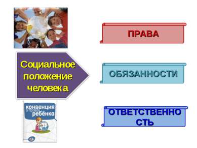 ПРАВА ОБЯЗАННОСТИ ОТВЕТСТВЕННОСТЬ