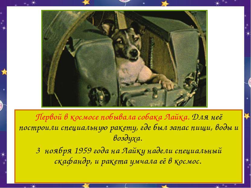 Первой в космосе побывала собака Лайка. Для неё построили специальную ракету,...