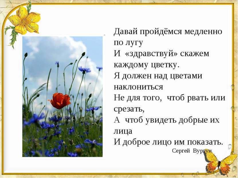 Давай пройдёмся медленно по лугу И «здравствуй» скажем каждому цветку. Я долж...