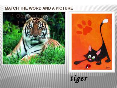 MATCH THE WORD AND A PICTURE tiger