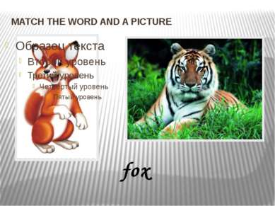 MATCH THE WORD AND A PICTURE fox