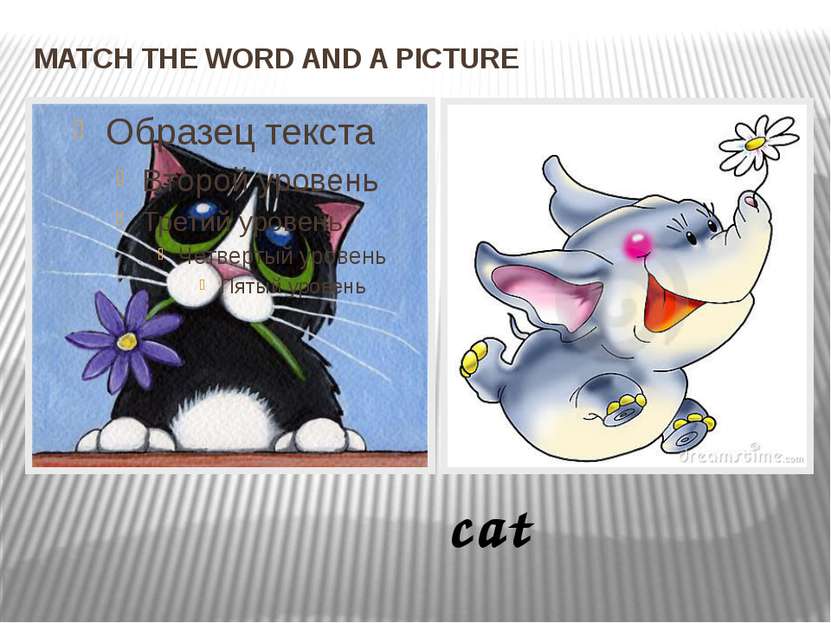 MATCH THE WORD AND A PICTURE cat