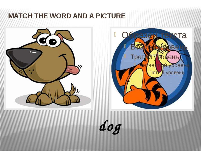MATCH THE WORD AND A PICTURE dog