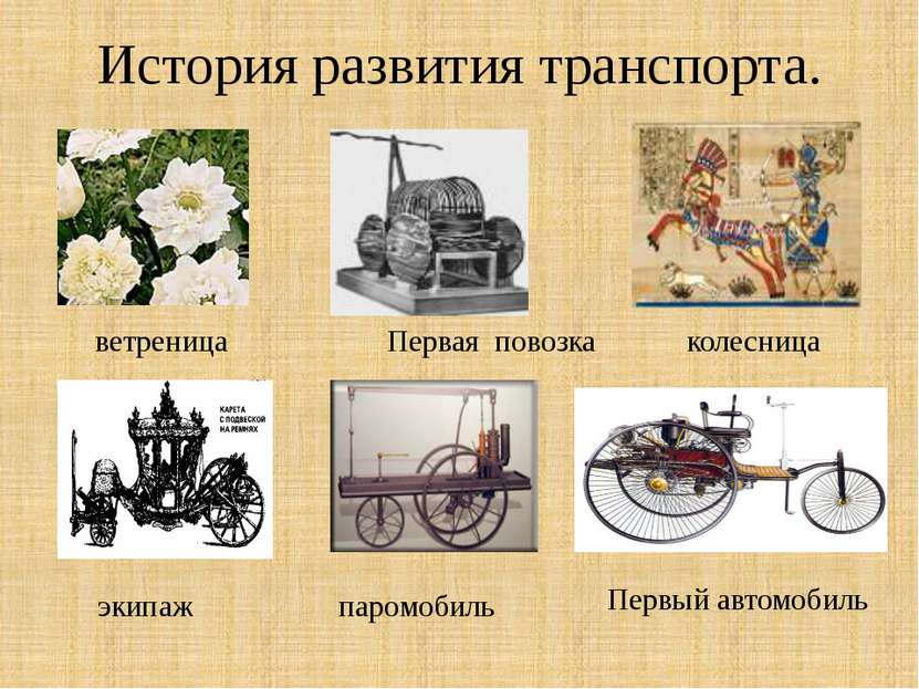История развития транспорта. ветреница Первая повозка колесница паромобиль эк...
