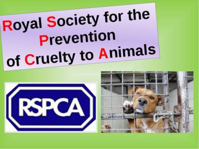 Royal Society for the Prevention of Cruelty to Animals