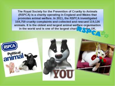 The Royal Society for the Prevention of Cruelty to Animals (RSPCA) is a chari...