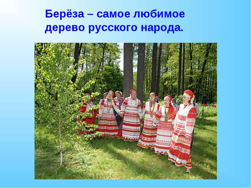 Берёза – самое любимое дерево русского народа.