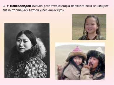 3. У монголоидов сильно развитая складка верхнего века защищает глаза от силь...