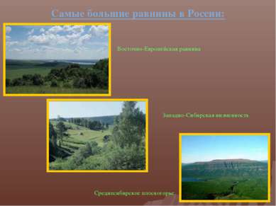 Самые большие равнины в России: Восточно-Европейская равнина Западно-Сибирска...