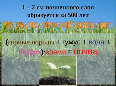 1 – 2 см почвенного слоя образуется за 500 лет (горные породы + гумус + вода ...