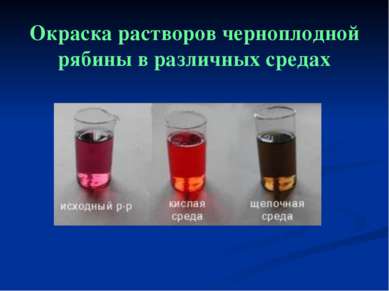 Окраска растворов черноплодной рябины в различных средах