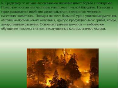 6. Среди мер по охране лесов важное значение имеет борьба с пожарами. Пожар п...