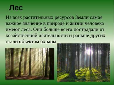 Лес Из всех растительных ресурсов Земли самое важное значение в природе и жиз...