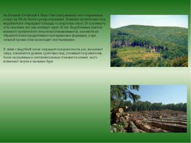 На Великой Китайской и Индо-Гангской равнинах леса сохранились только на 5% и...
