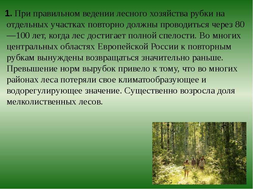1. При правильном ведении лесного хозяйства рубки на отдельных участках повто...