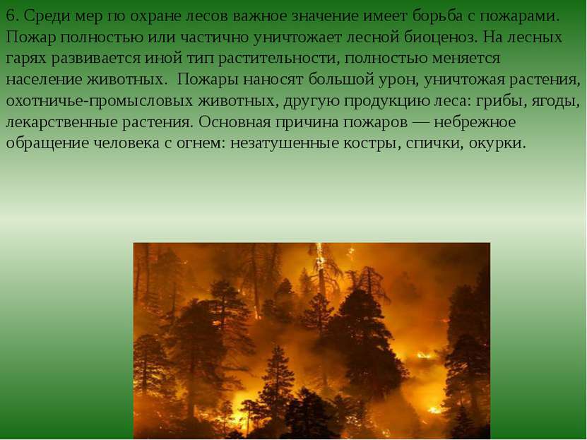 6. Среди мер по охране лесов важное значение имеет борьба с пожарами. Пожар п...