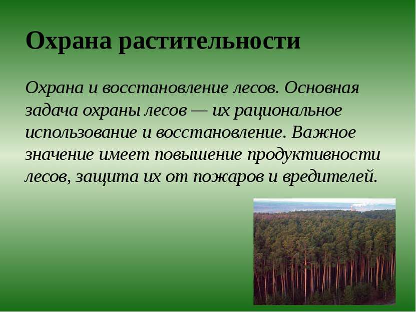 Охрана растительности Охрана и восстановление лесов. Основная задача охраны л...