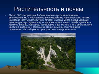 Растительность и почвы Около 80 % территории Габона покрыто густыми влажными ...