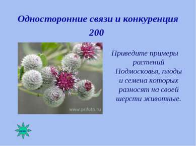 Односторонние связи и конкуренция 200 Приведите примеры растений Подмосковья,...